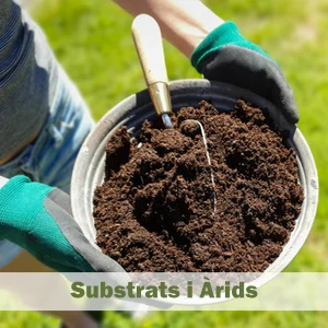 Substrats i Àrids