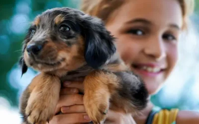 Com involucrar els teus fills a tenir cura d’una mascota