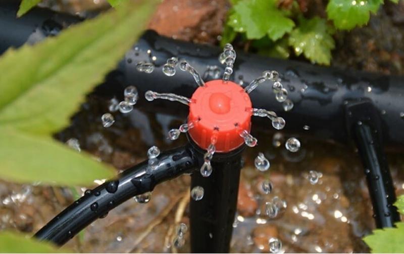 Com estalviar aigua i energia al teu jardí sense renunciar a la seva bellesa