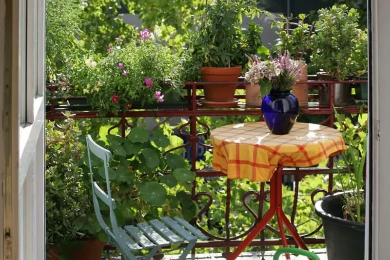 Eleva el teu jardí: decora amb testos penjants