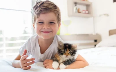 Com viure amb animals de companyia si hi ha persones al·lèrgiques