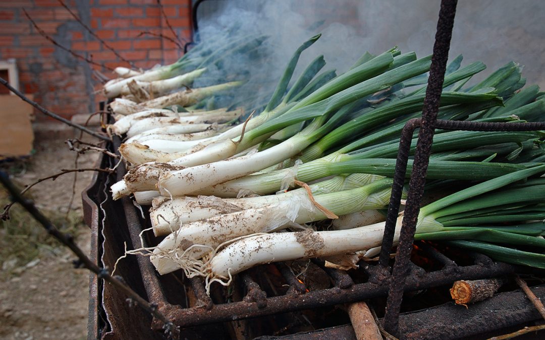 Ja tenim les Cebes de Calçot a la venda!