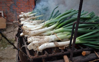 Ja tenim les Cebes de Calçot a la venda!