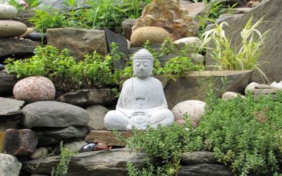 Com aplicar el Feng Shui a la llar