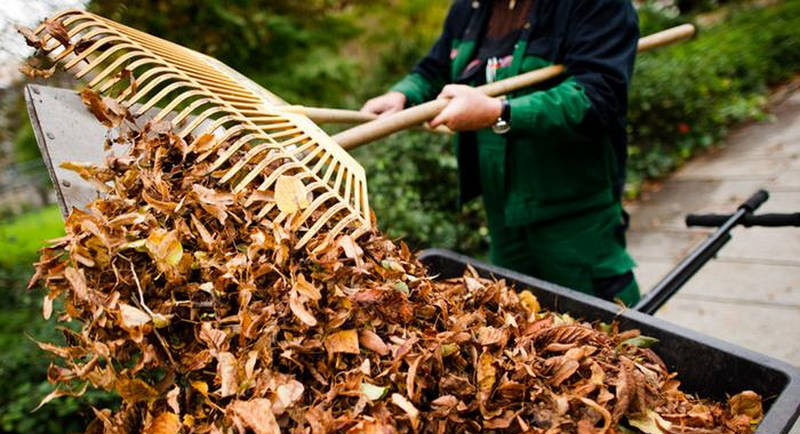Agenda del jardí d’Octubre