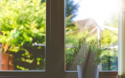 La importància de la temperatura i la llum en la cura de les plantes d’interior
