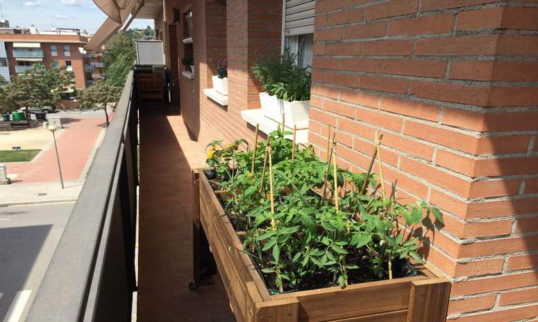 cultivo de huertos urbanos en balcones