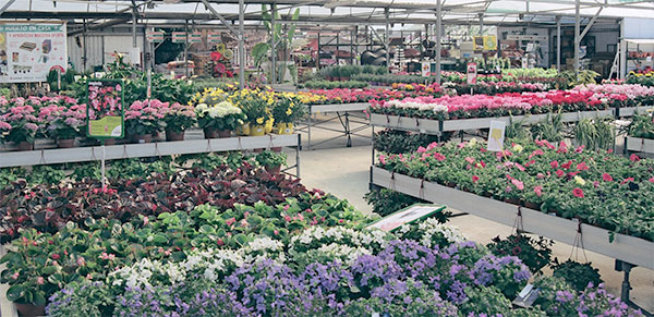 planta-exterior-garden2