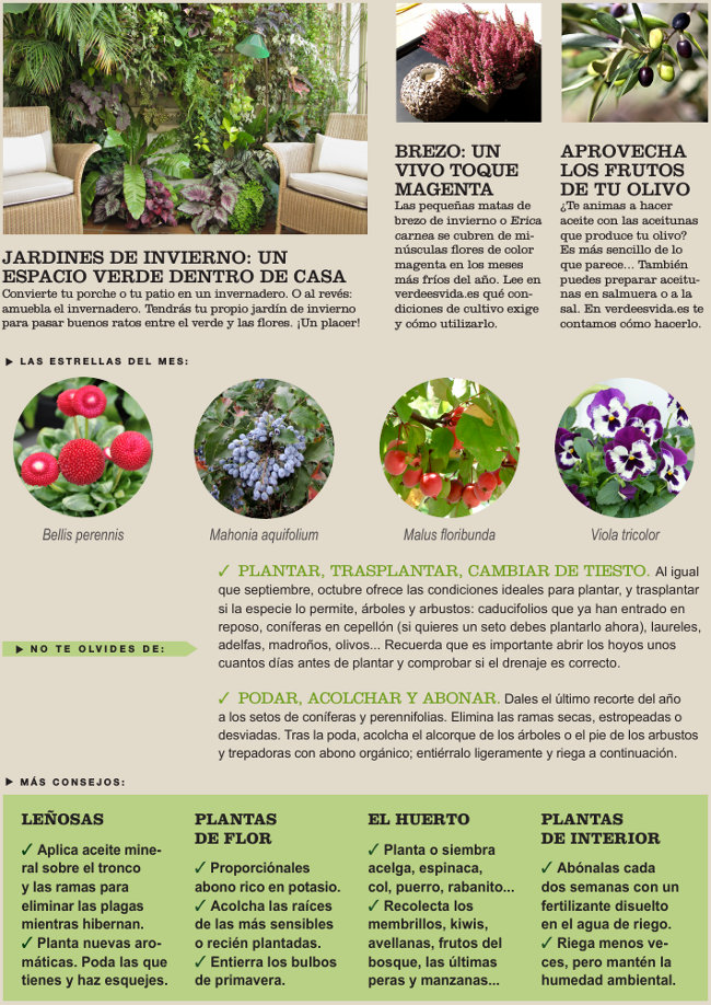 Agenda del Huerto y Jardín de Octubre.