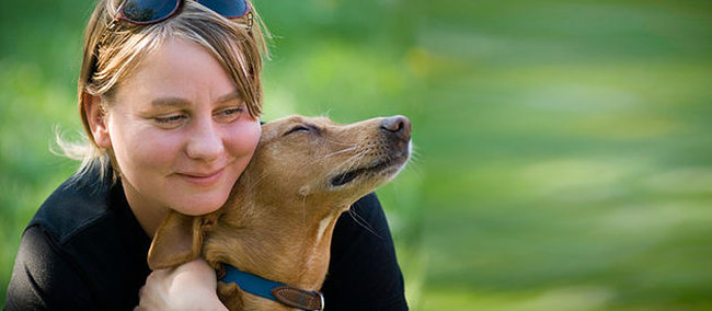 dale-carino-a-tu-perro