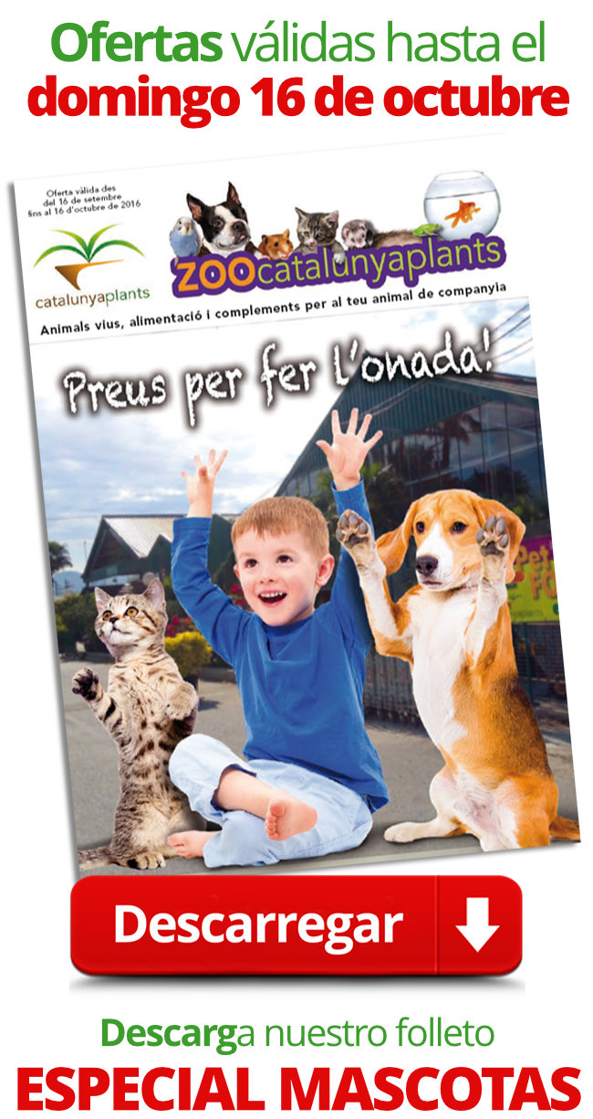 descarga-folleto-ofertas-mascotas-octubre-2016