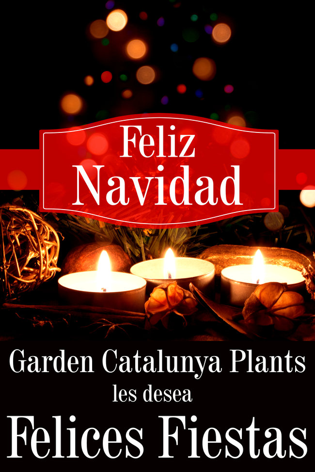 Garden Catalunya Plants les desea Felices Fiestas.
