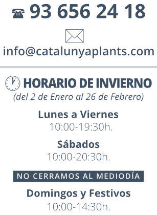 banner-horario-HABITUAL-catplants-ESP