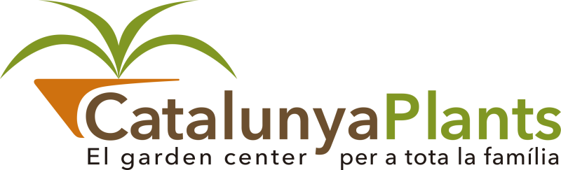 Volvemos a tener Coleus canina (repelente de perros y gatos) - Garden