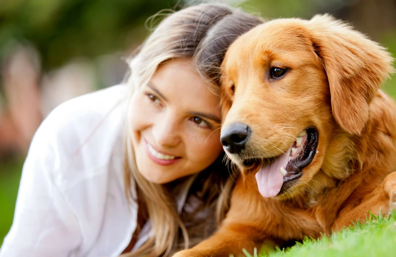 El cuidado de tu mascota durante las vacaciones