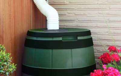 7 tips para un jardín sostenible