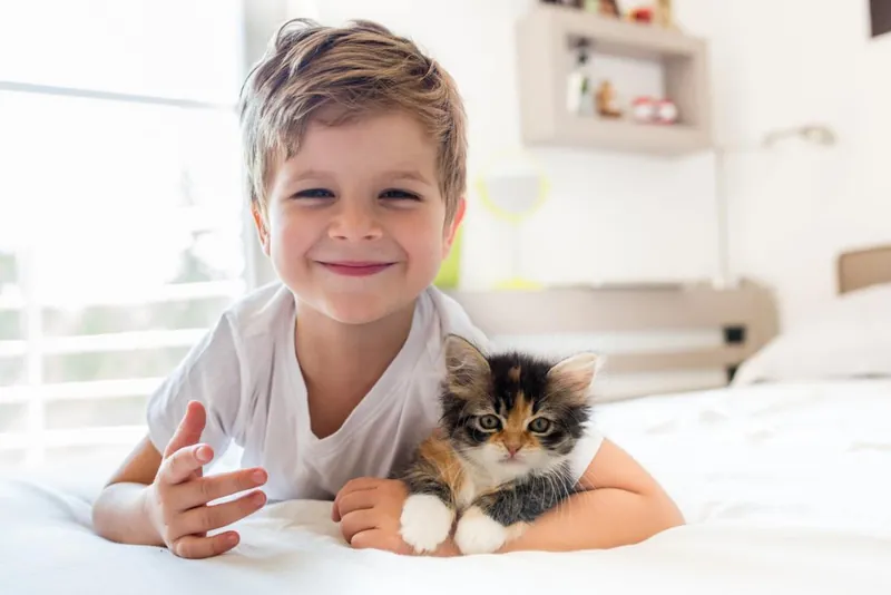 Cómo convivir con mascotas si hay personas alérgicas