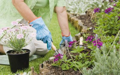 Agenda del jardín de Septiembre