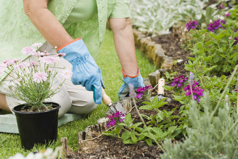 Agenda del jardín de Septiembre