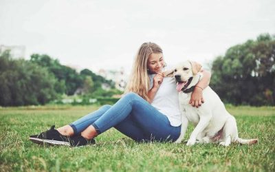 Claves de la educación positiva en mascotas