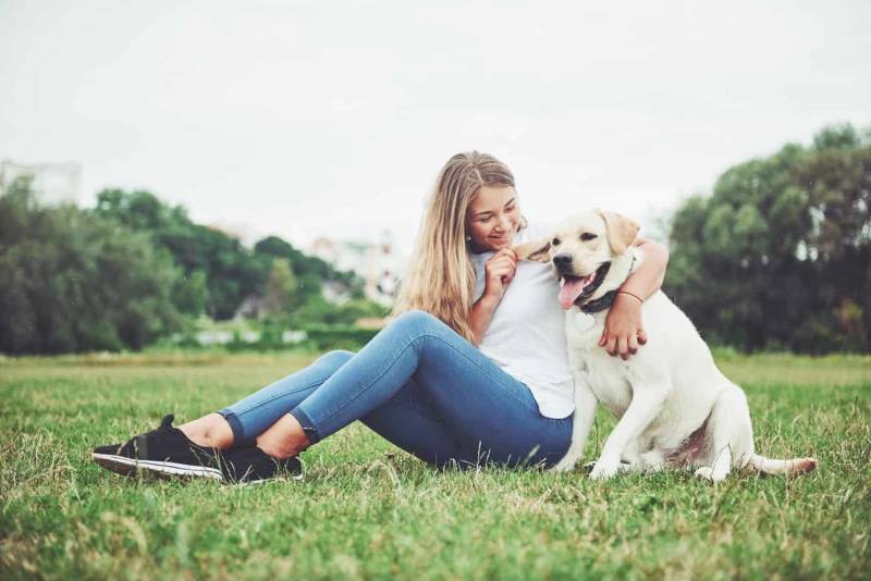 Claves de la educación positiva en mascotas