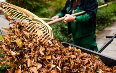 Agenda del jardín de Octubre