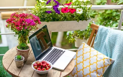 Plantas ideales para cultivar en terrazas