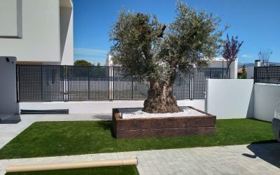 Cómo elegir y colocar un punto focal en el jardín