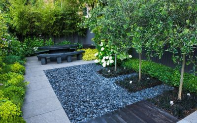 Árboles adecuados para jardines pequeños